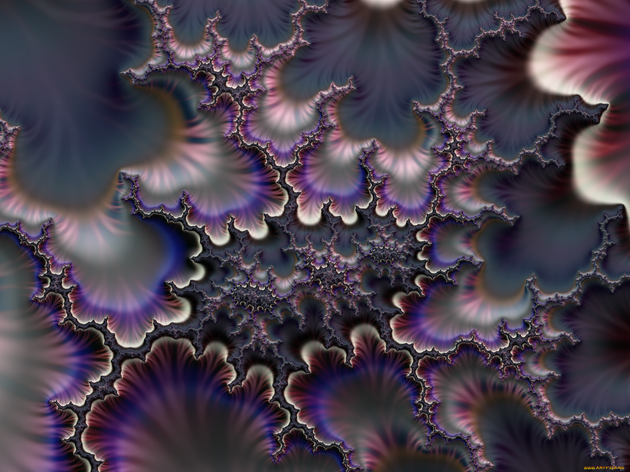 3, , fractal, , , , 